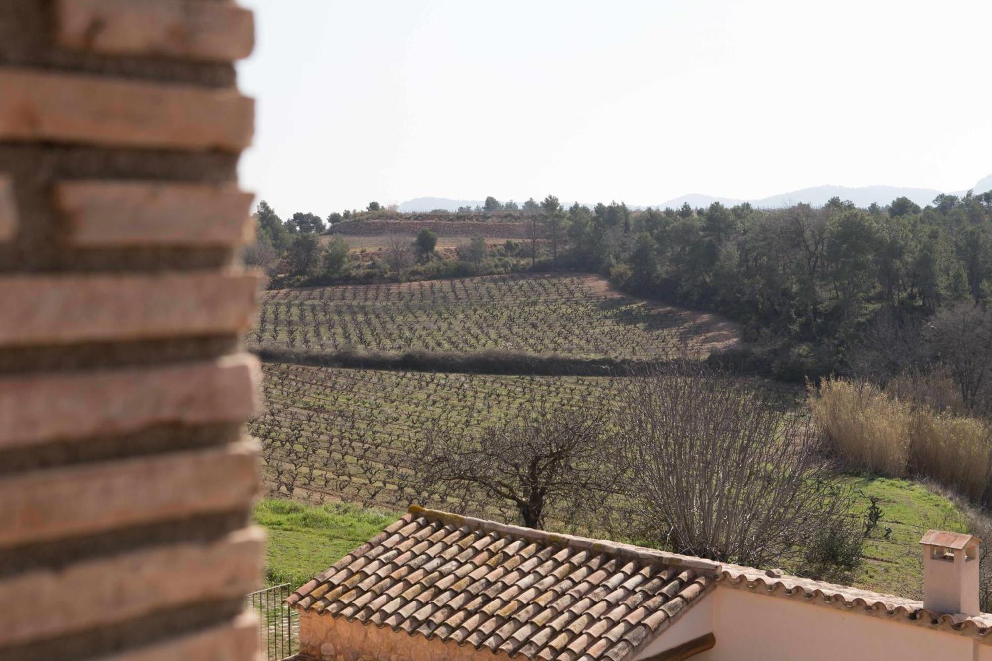 Casa Rural Masia Les Apieres El Pla de Manlleu Екстериор снимка